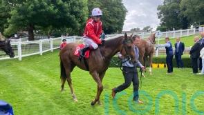 Shuwari takes Group One test for Sangster