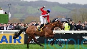 Envoi Allen set for return to Down Royal next