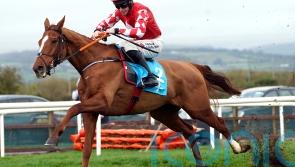 Pied Piper camp delighted to have Moore on board