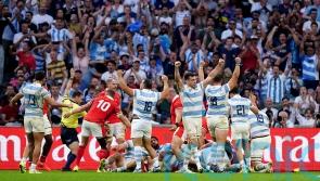 Emiliano Boffelli stars as Argentina send Wales home from World Cup