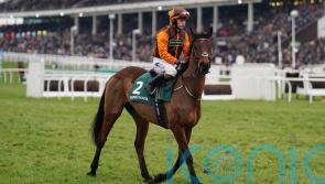 Noble Yeats to return in new year