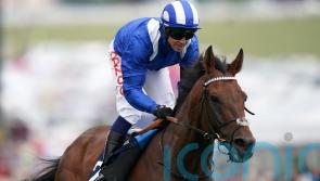 Hukum retired to stand at stud in Japan