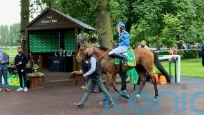 Ellison to consider travel plans for Tashkhan