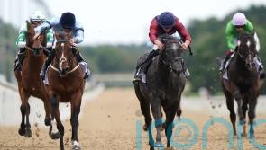 Highclere lining up dual challenge for Champions Sprint