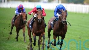 No going worries ahead of Bay Bridge Champion defence