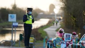 Person in hedge &lsquo;kicking hard in cry for help&rsquo;, Ashling Murphy murder trial told