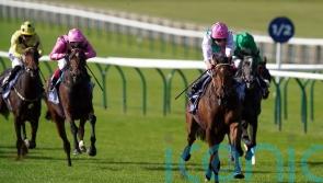 Juddmonte duo hunting Group One gold at Ascot