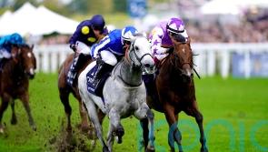 Art Power battles back to deny Kinross in Champions Sprint thriller