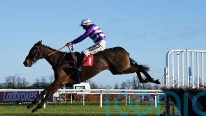 Rare Edition ready to begin chasing career