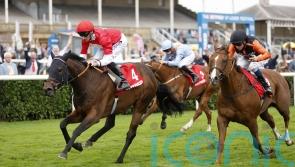 Big-money buy Rogue Lightning to return for 2024 sprint campaign