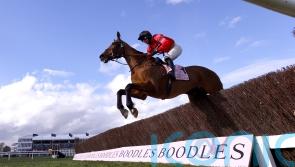 Ahoy Senor and Apple Away pencilled in for Wetherby return