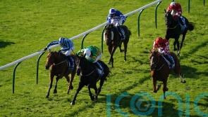 Tashkhan out to replicate Newmarket form in Prix Royal-Oak