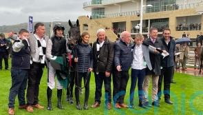 Flooring Porter impresses on Cheltenham chasing debut