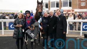 Datsalrightgino heading for Coral Gold Cup