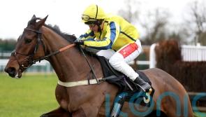 Cheltenham or Sandown under consideration for Haddex
