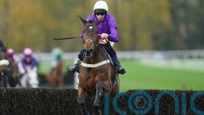Fugitif gunning for Paddy Power glory