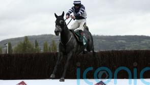 Al Dancer set to bypass Grand Sefton defence