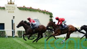 Bradsell scratched from Turf Sprint