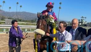 Big Evs powers home for Juvenile Turf Sprint title