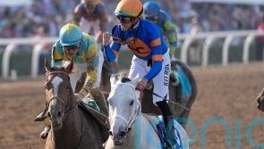 White Abarrio collects Breeders&rsquo; Cup Classic gold