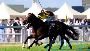 Burdett Road road impresses with winning hurdles debut