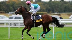 Frankel to join Dubawi as most expensive stallion
