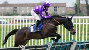 Cobden keen on Rubaud chances in Elite Hurdle