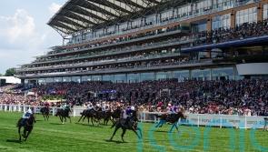 Valiant Force to remain in America following big Cup run