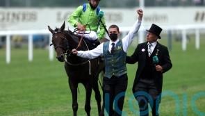 Subjectivist to stand at Alne Park Stud