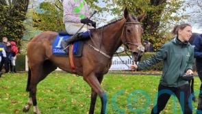 Allegorie De Vassy on the mark at Clonmel