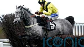 Elixir De Nutz takes home Haldon Gold for Tizzard team