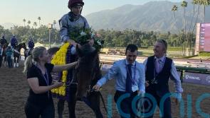 Al Shaqab dreaming of Classic joy with star juveniles