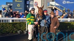 Dinoblue gallops on gamely for Naas success