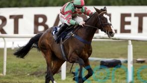 Tommy&rsquo;s Oscar forced to sidestep Cheltenham trip