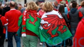 Incoming Welsh Rugby Union boss vows to &lsquo;turn this round&rsquo; after damning review