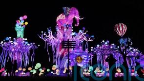 Enchanting display of colour at Dublin Zoo for Wild Lights spectacular