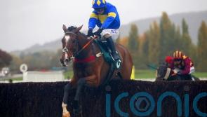 Found On out to make it a perfect three from three at Market Rasen