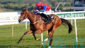 Townend excited to get Facile Vega going over fences