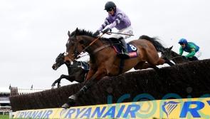 Festival stars fancied to go for gold again in Paddy Power