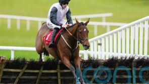 Kala Conti kicks off Irish career with Navan cruise