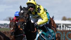 Henderson confirms Ascot preference for Shishkin