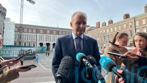 Governments &lsquo;not given proof of life of Hamas&rsquo;s hostages&rsquo; &ndash; Micheal Martin