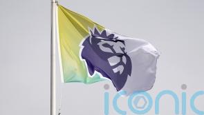 Premier League fails in bid to block loans between associated clubs