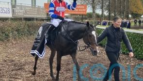 Cheltenham and Ascot options for Blackjack Magic