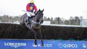 Conditions could scupper Drasher&rsquo;s Ascot date
