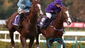 Slate Lane &lsquo;doing everything right&rsquo; ahead of Haydock test