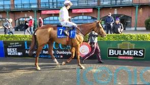 Mister Policeman lays down the law at Fairyhouse