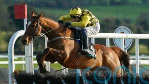 State occasion taking centre stage at Punchestown