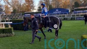 Fry eyeing another &lsquo;home match&rsquo;, as Boothill banks Ascot repeat