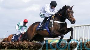 Henderson only thinking of Newcastle with Constitution Hill